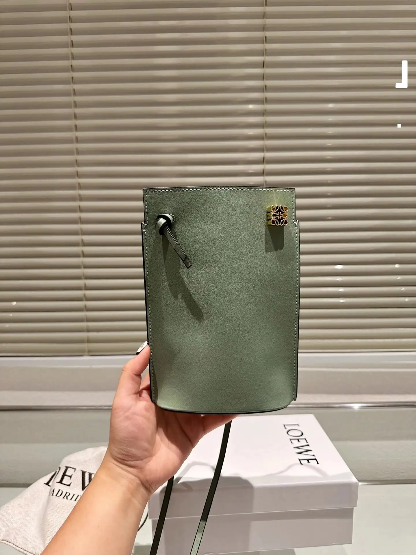 Loewe Crossbody Bags [11 styles] 10