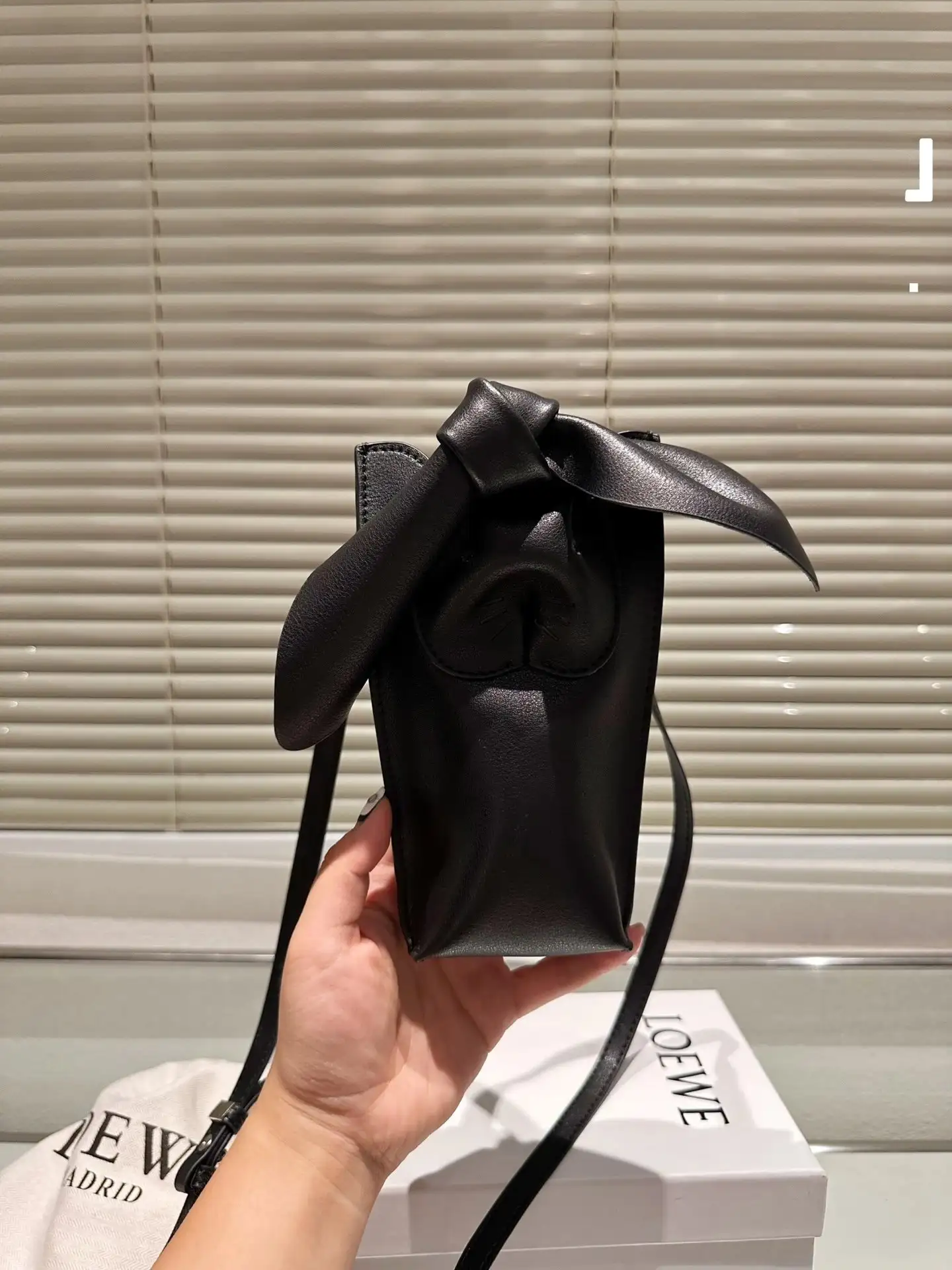 Loewe Crossbody Bags [11 styles] 4
